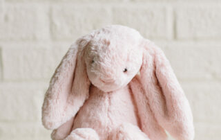 Stuffed pink bunny